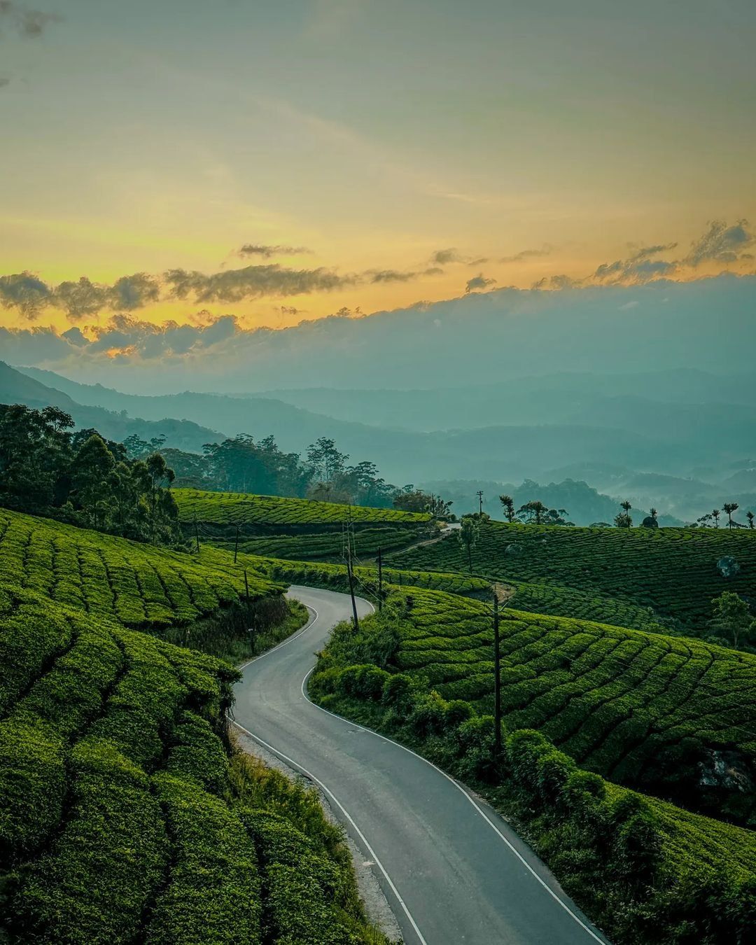 Wayanad Detail View 4